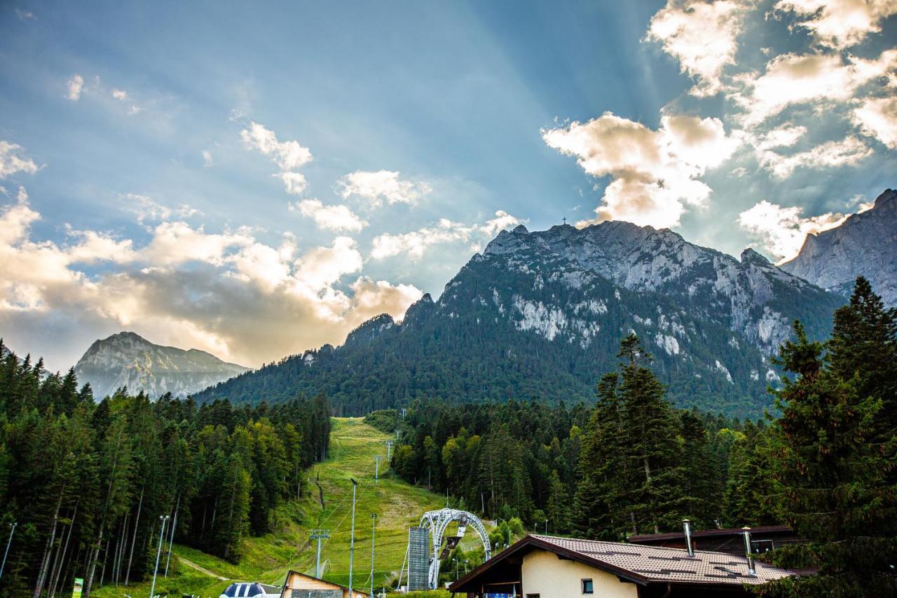 Hrodberht Ski Apartment Busteni Bagian luar foto
